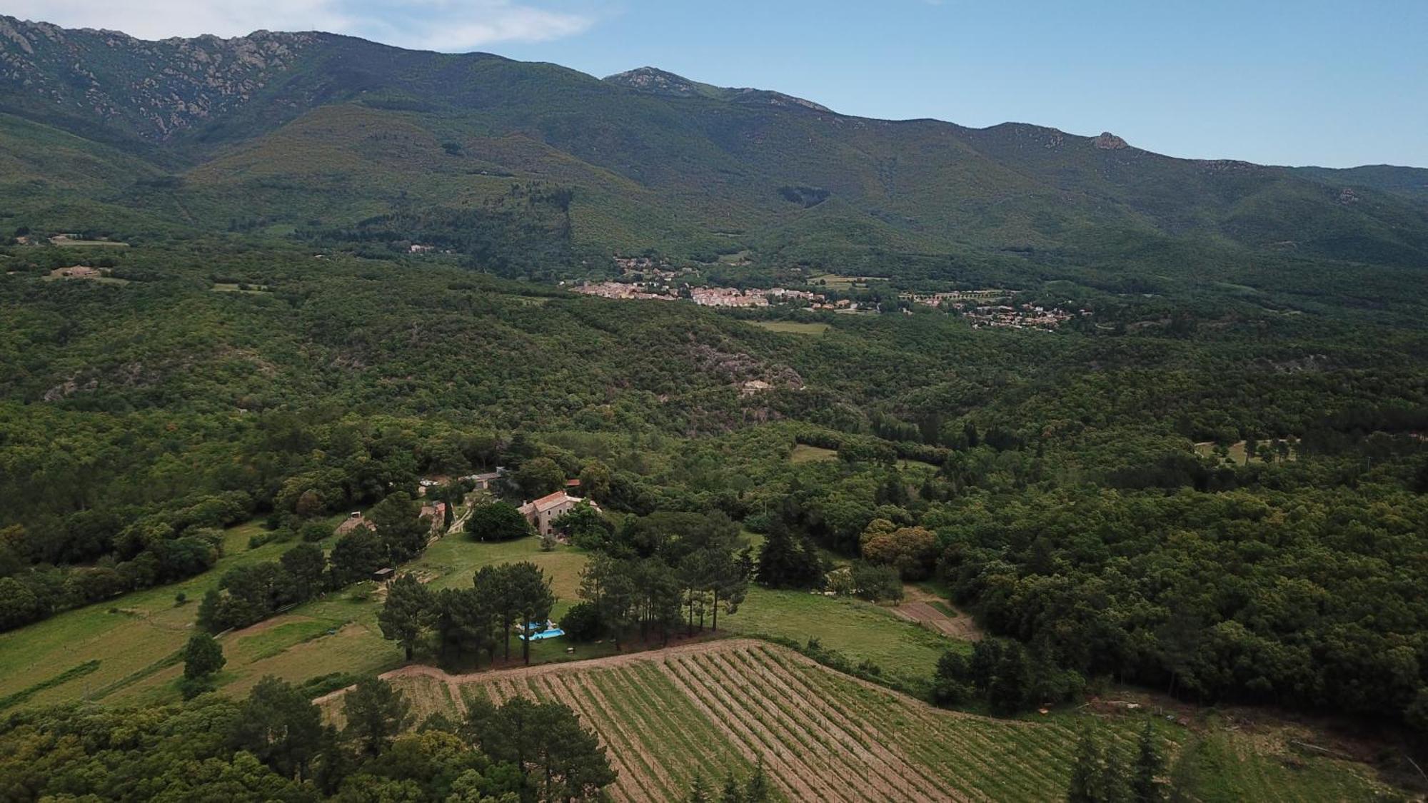 Penzion Mas Roquet Maçanet de Cabrenys Exteriér fotografie