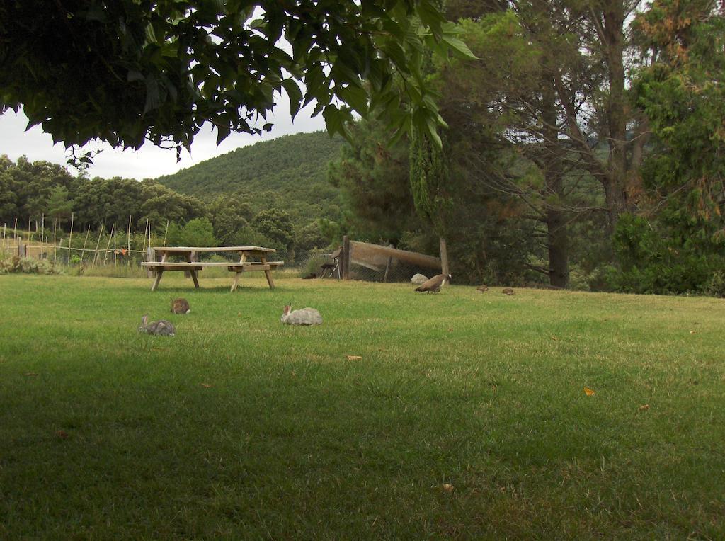 Penzion Mas Roquet Maçanet de Cabrenys Exteriér fotografie
